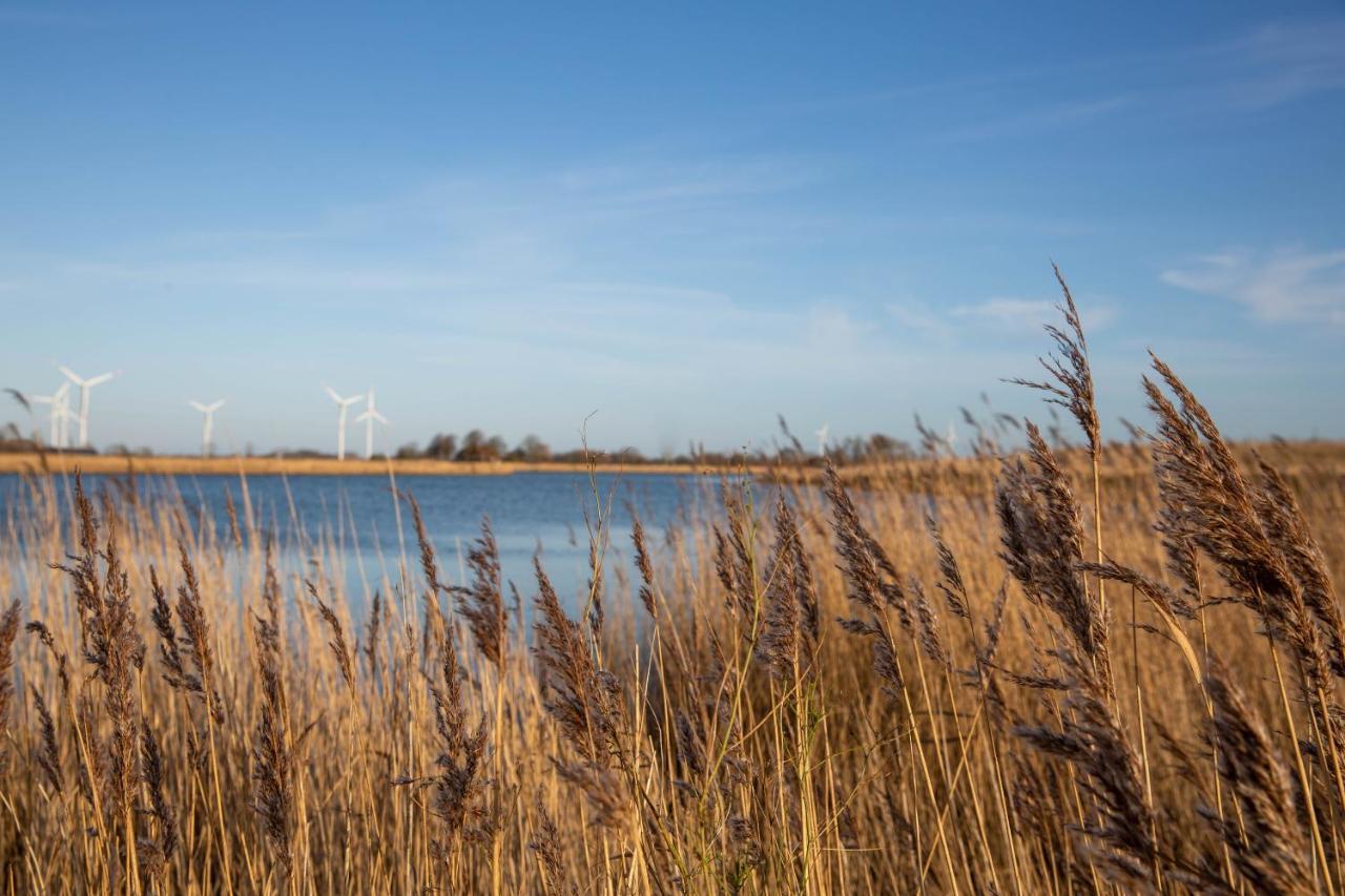 Daenisches Blockhaus Direkt Am Wangermeer ชิลลิคช์ ภายนอก รูปภาพ
